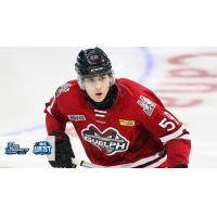 Guelph Storm defenceman Daniil Skvortsov