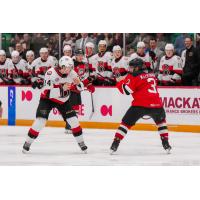 Belleville Senators forward Jan Jenik (left) preps for a fight against the Utica Comets