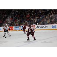 Peterborough Petes centre Gavin Bryant