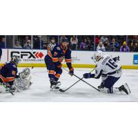 Greenville Swamp Rabbits forward Carter Savoie and goaltender Jacob Ingham